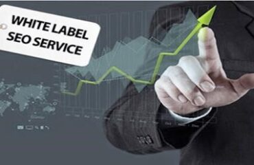 White Label SEO Services in India