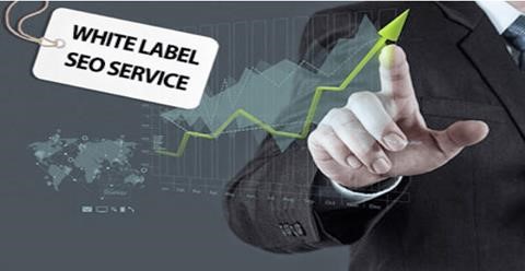 White Label SEO Services in India