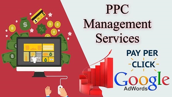PPC Management Services in Noida